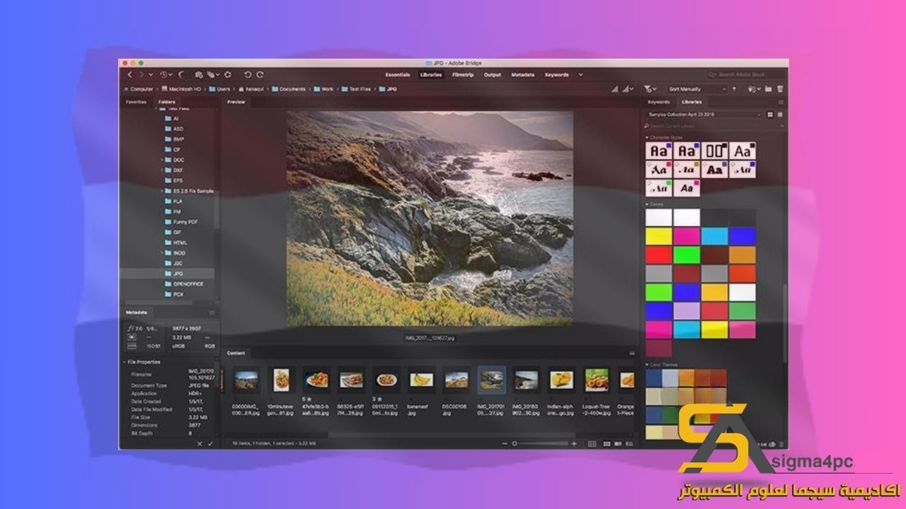 Download Adobe Bridge CC 2021