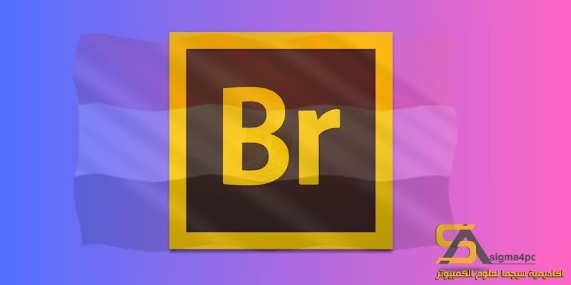 تحميل Adobe Bridge CC 2021