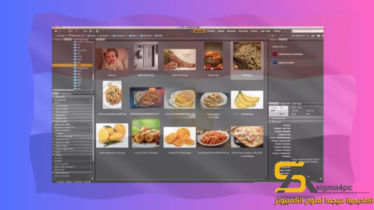 تحميل Adobe Bridge CC 2020