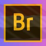 تحميل Adobe Bridge CC 2022