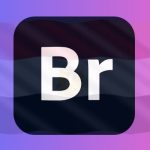 تحميل Adobe Bridge CC 2020