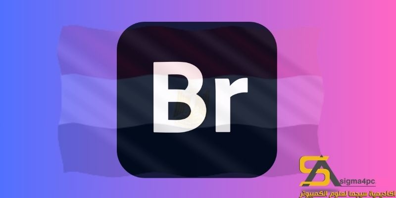 تحميل Adobe Bridge CC 2020