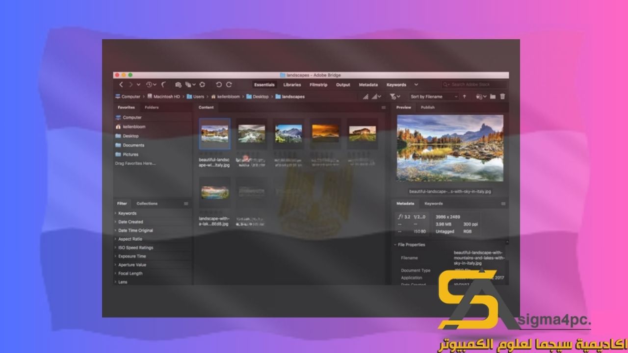 تحميل Adobe Bridge CC 2023