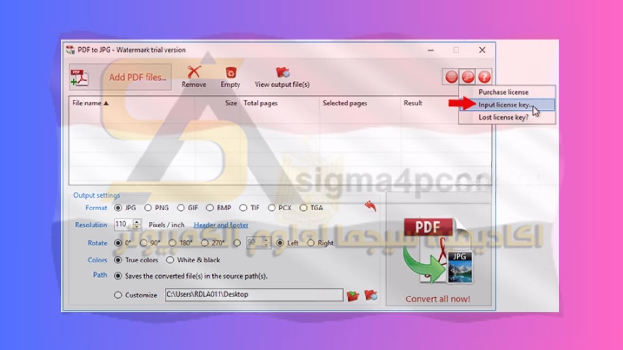 Convert PDF to Image