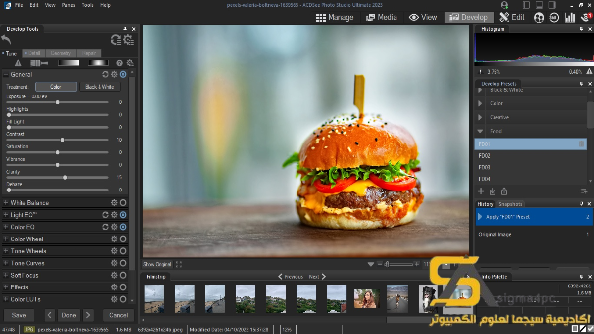 ACDSee Photo Studio Ultimate Full Download