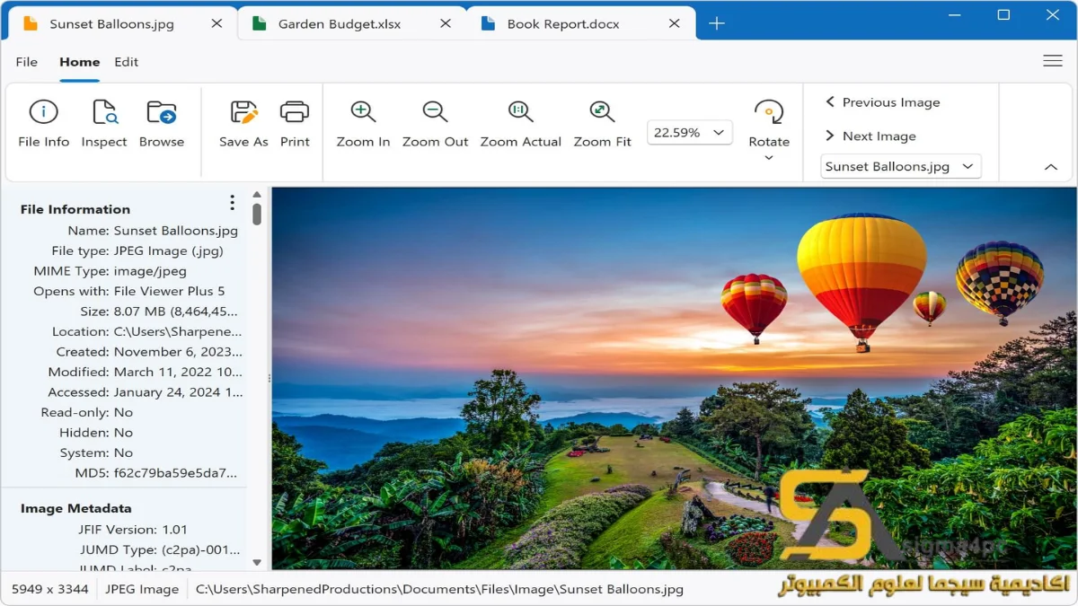 File Viewer Plus Free Download