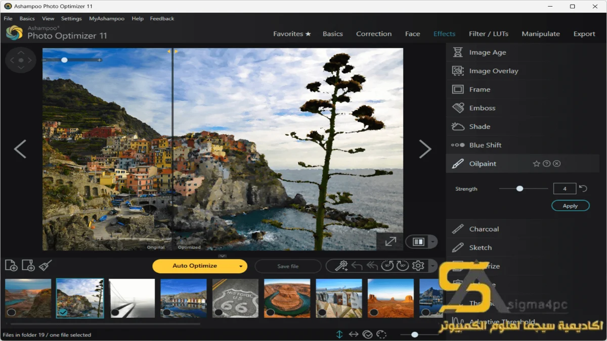 Ashampoo Photo Optimizer Full Download
